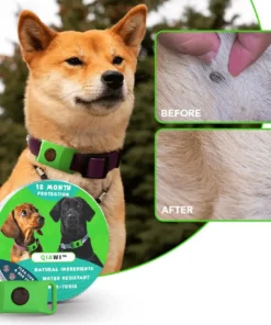 QIAWI™ 12 Months Flea and Tick Free