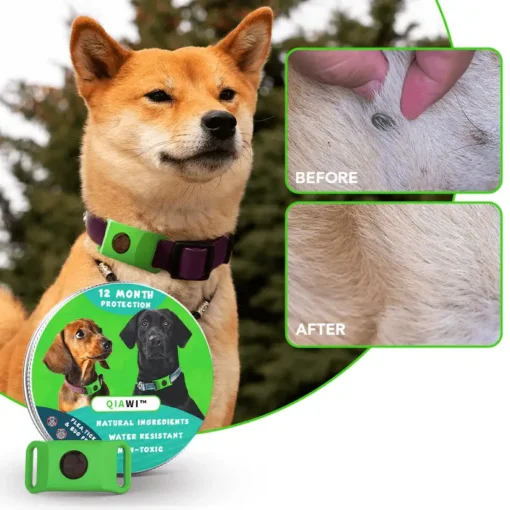 QIAWI™ 12 Months Flea and Tick Free