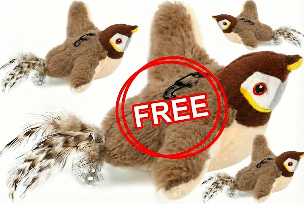 QIAWI™ Interactive ChirpingBird Cat Toy (Realistic Flapping Sound)