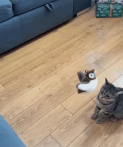 QIAWI™ Interactive ChirpingBird Cat Toy (Realistic Flapping Sound)