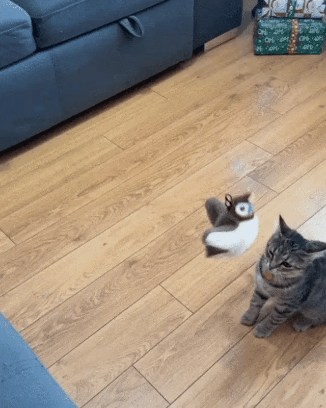 QIAWI™ Interactive ChirpingBird Cat Toy (Realistic Flapping Sound)