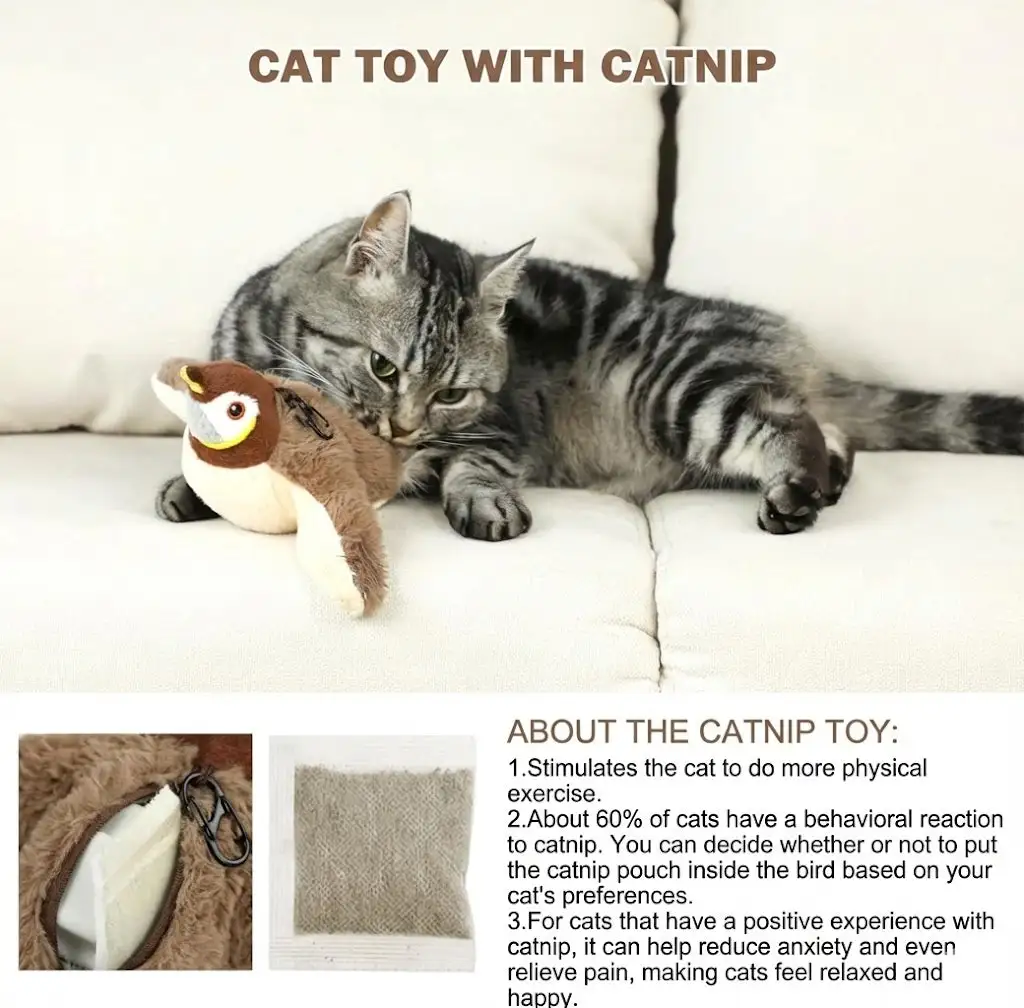 QIAWI™ Interactive ChirpingBird Cat Toy (Realistic Flapping Sound)